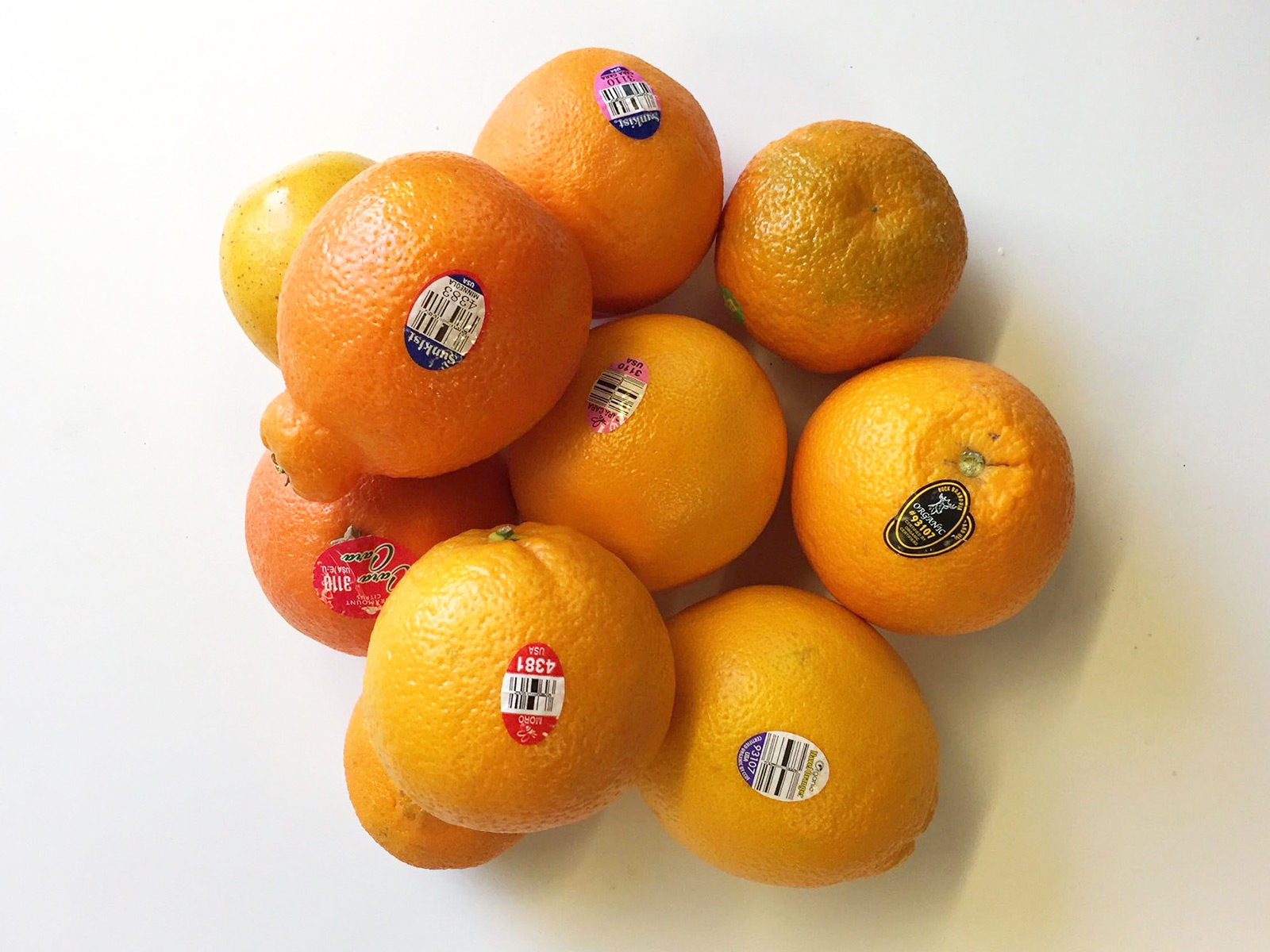 oranges-hero.jpg